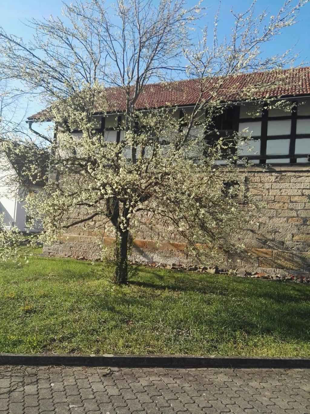 Gaestehaus Zum Gesundheitszentrum Matz Sulzdorf an der Lederhecke المظهر الخارجي الصورة